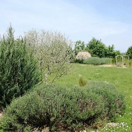 Le Grand Paradis Morannes sur Sarthe-Daumeray Zewnętrze zdjęcie